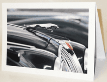 JAGUAR Leaping Cat . Card