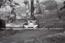 MARCH 772 BMW David Franklin. Doune  Hillclimb  1978