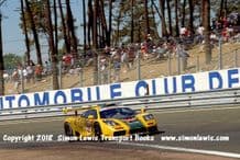 McLaren F1 GTR. HARRODS, (Bell/Grouillard/Wallace). Photo.  Le Mans 24 Hours 1996