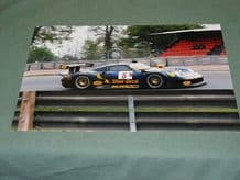 PORSCHE 911-GT1 BLUE CORAL BRDC GT Oulton c. 1999 12x8" photo (b)