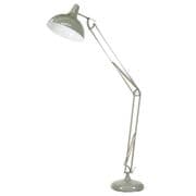 Alness Grey Metal Task Floor Lamp