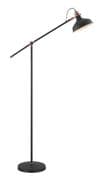 Beltex Adjustable Floor/Reading Lamp in a Copper and Graphite Finish
