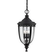 English Bridle Large Outdoor Chain Lantern in a Black Finish with Clear Seeded Glass IP23 - FEISS FE/EB8/L BLK