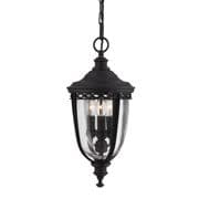 English Bridle Medium Outdoor Chain Lantern in a Black Finish with Clear Seeded Glass IP23 - FEISS FE/EB8/M BLK