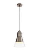 Hebridean Single Pendant in Satin Nickel and Clear Glass