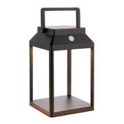 Linterna Medium Outdoor Solour & Re-Chargeable LED Table Lamp in a Black Finish - ENDON 96931