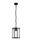 Perendale Single Pendant in Matt Black with Clear Glass