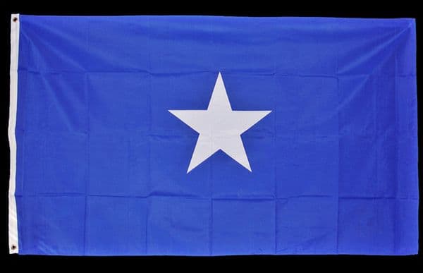 Confederate Bonnie Blue Flag
