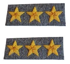 Confederate Colonel's Gray Collar Insignia Set