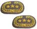 CONFEDERATE OFFICERS INSIGNIA