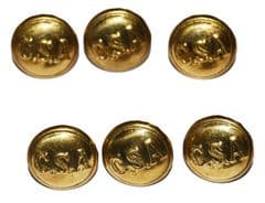 Confederate Small Frock Coat Or Shell Jacket Cuff Buttons x 6
