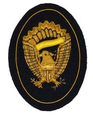 Infantry Officers Hardee Hat Insignia Badge