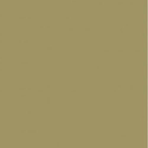 Axalta RAL 1020 Olive Yellow Polyester 30% Matt Powder Coating (20kg Box)