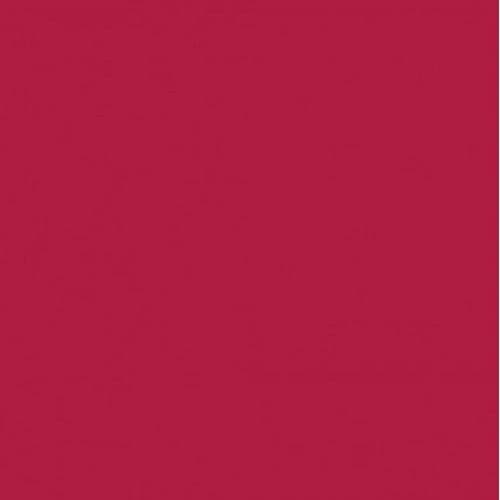 Axalta RAL 3027 Raspberry Red Polyester 30% Matt Powder Coating (20kg Box)