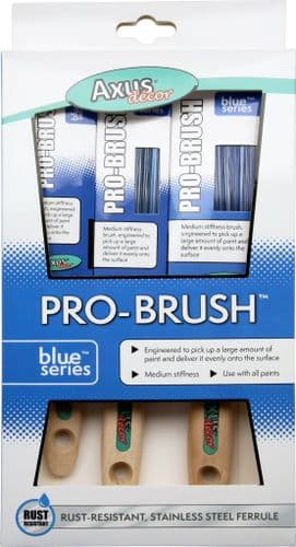 Axus AXU/BBS3 Pro-Brush set