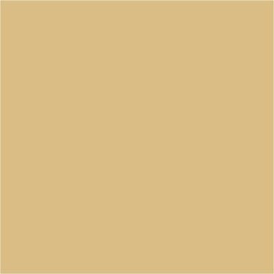 Axalta RAL 1001 Beige Polyester 30% Matt Powder Coating (20kg Box)