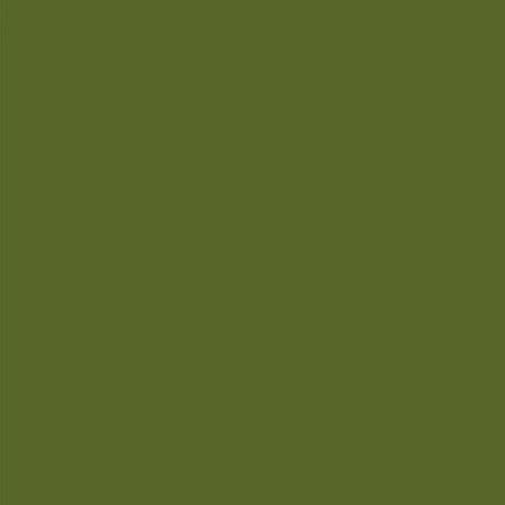 Axalta RAL 6003 Olive Green Polyester 30% Matt Powder Coating (20kg Box)