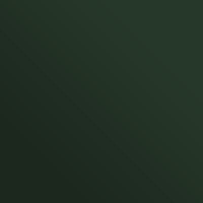 Axalta RAL 6020 Chrome Green Polyester 30% Matt Powder Coating (20kg Box)