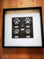 Framed Stone Pawprint (Custom frames)