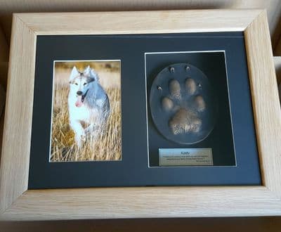 Framed Stone Pawprint (Custom frames)