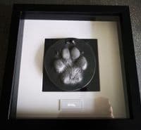 Framed Stone Pawprint (standard size)