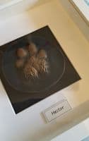 Framed Stone Pawprint (standard size)