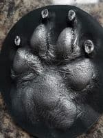 Framed Stone Pawprint (standard size)