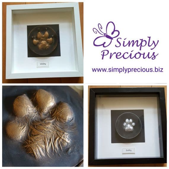 Framed Stone Pawprint (standard size)