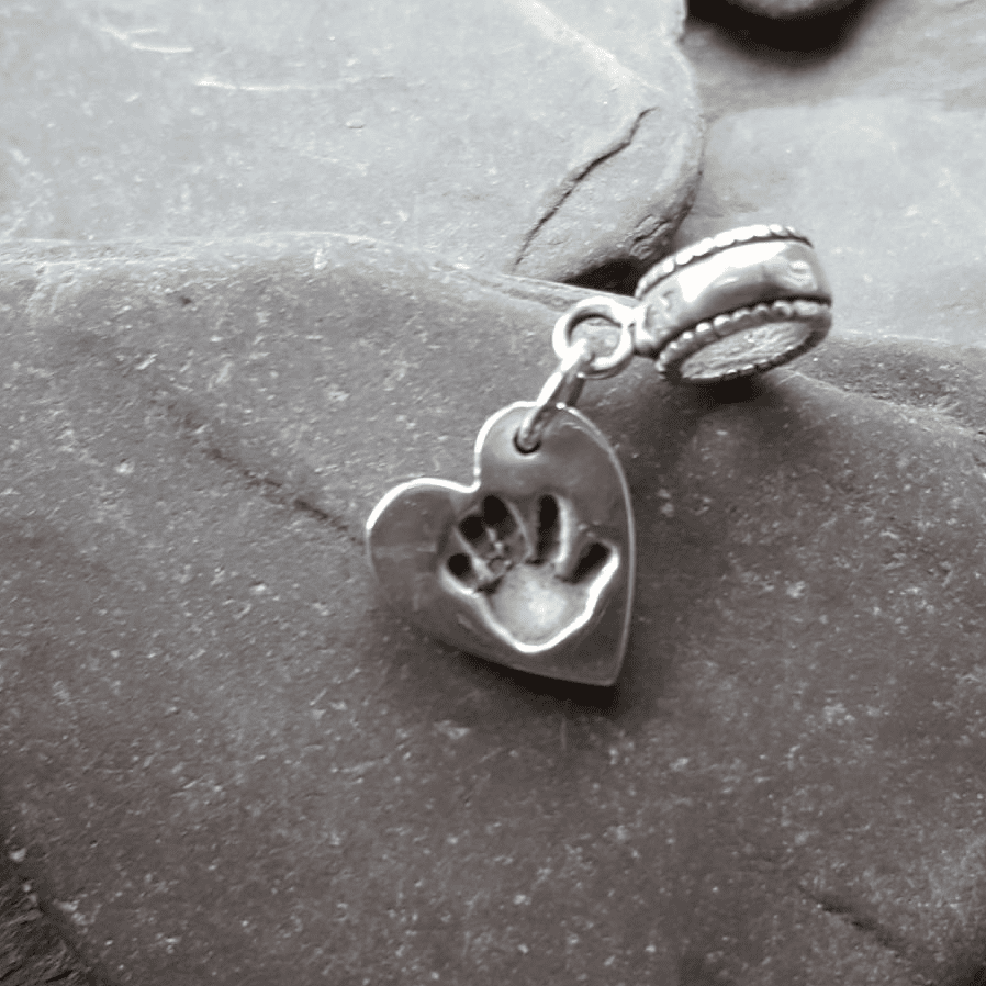 Pandora 2025 type charms