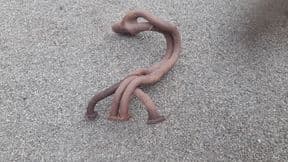 FIAT X19 4 BRANCH MANIFOLD