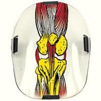 Deadbolt grand slam knee pads Zebra