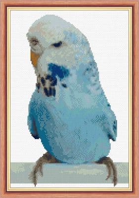 Australian Blue Budgie/Budgerigar/Parrot ~ 14 Count Cross Stitch 8