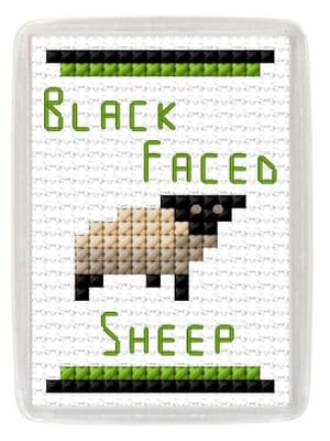 Black Faced Sheep, Fridge Magnet ~ 14 Count Cross Stitch Kit