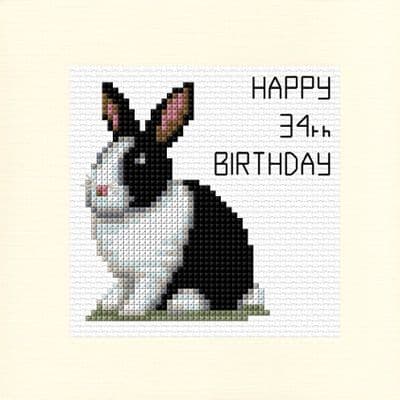 Black & White Rabbit: Happy Birthday Any Age Cross Stitch Card Kit | 14ct Square 5.5