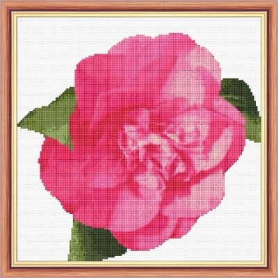 Bright Pink Camellia Flower: Counted Cross Stitch Kit or Chart | 14ct 10