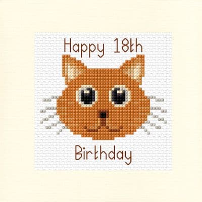 Cartoon Cat Design ~ 18th / 21st Birthday Card Cross Stitch Kit 5.5