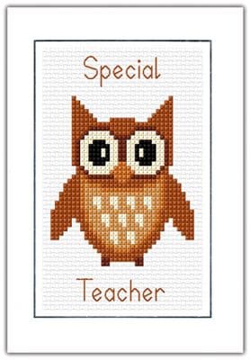 Cartoon Owl: Special or Thank You Teacher (Brown) Cross Stitch Card Kit | 14ct A6