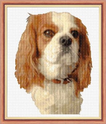 Cavalier King Charles, Dog Portrait ~ 16 Count Cross Stitch 10