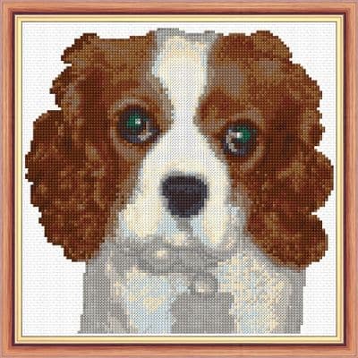 Cavalier King Charles Puppy Dog ~ 14 Count Cross Stitch 8