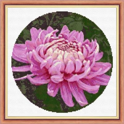Chrysanthemums Flowers in Purple & Pink: Counted Cross Stitch Kit or Chart | 14ct 10