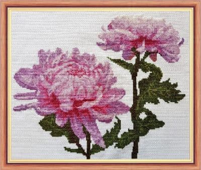Chrysanthemums Flowers in Purple & Pink: Counted Cross Stitch Kit or Chart | 14ct 12