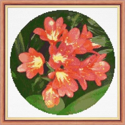 Clivia Coral Peach Flower: Counted Cross Stitch Kit or Chart | 14ct 10