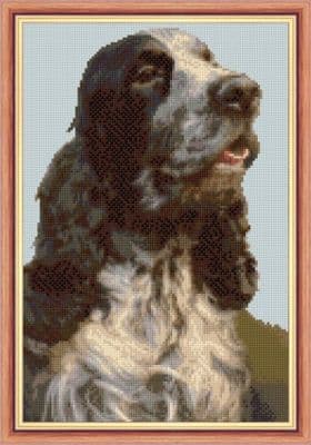 Cocker Spaniel Dog Portrait: Counted Cross Stitch Kit or Chart, 14ct 8