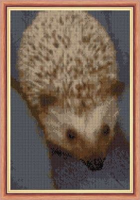 Cute Baby Hedgehog: Counted Cross Stitch Kit | 14ct 8