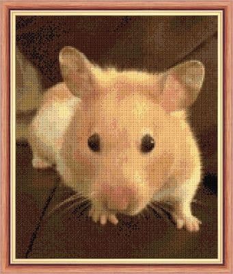 Cute Golden/Syrian Hamster ~ 14/18 Count Aida, Cross Stitch Design