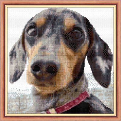 Dachshund Puppy Dog Portrait ~ 14 Count Cross Stitch 8