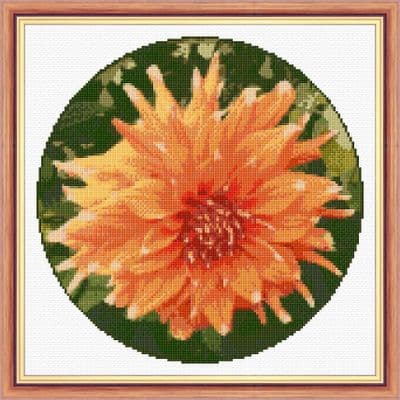 Dahlia Orange Peach Flower: Counted Cross Stitch Kit or Chart | 14ct 10
