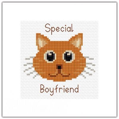 Ginger Cartoon Cat: Special Boyfriend Cross Stitch Kit | 14ct Square 5.5
