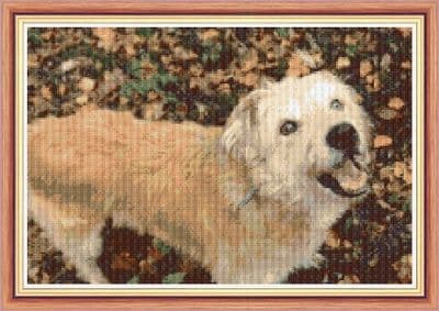 Golden Cross Terrier Dog ~ 16 Count Cross Stitch 12