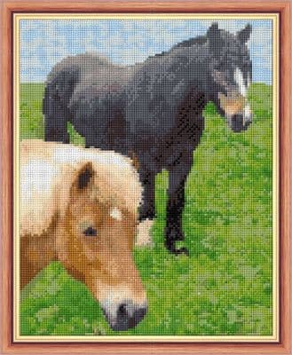 Grey Horse & Shetland Pony ~ 14 Count Cross Stitch 8